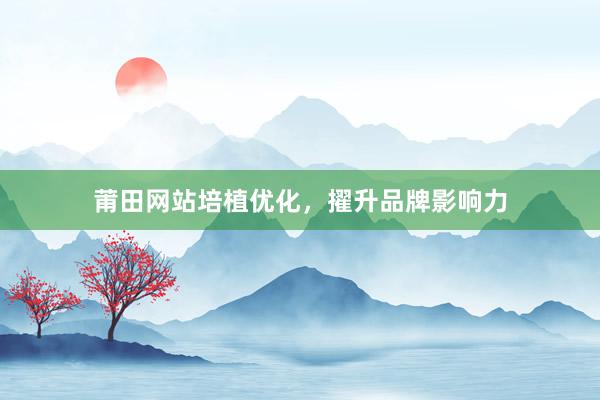 莆田网站培植优化，擢升品牌影响力