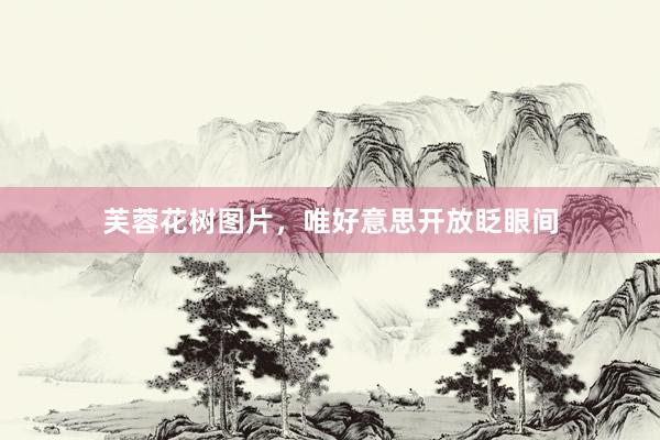 芙蓉花树图片，唯好意思开放眨眼间